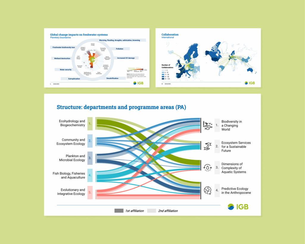 Three infographic slides from the IGB (Leibniz Institute of Freshwater Ecology and Inland Fisheries). The top-left slide visualizes global change impacts on freshwater systems, highlighting connections between planetary boundaries and stressors like biodiversity loss, pollution, wetland destruction, and water security. A radar chart shows thresholds exceeded for several parameters. The top-right slide shows a world map indicating the number of international collaborations by region, with denser lines pointing to Europe and North America. The bottom slide is a Sankey diagram showing the institutional structure: five departments (left) and their affiliations with four research programme areas (right). Colored flows indicate primary (dark) and secondary (light) affiliations between departments and programme areas.