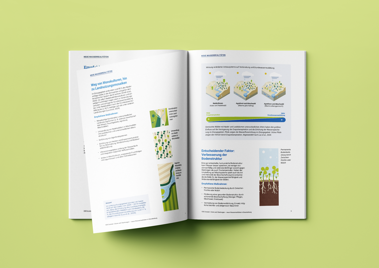 Free_A4_Brochure_Mockup_05