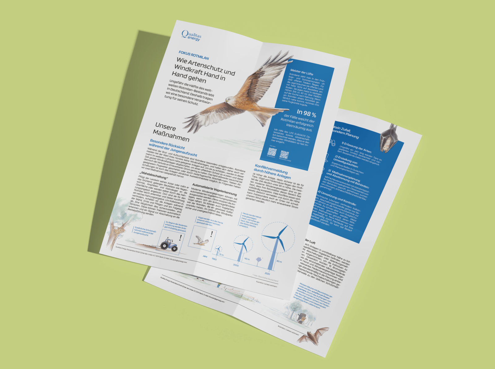 QualitasEnergyMockup1